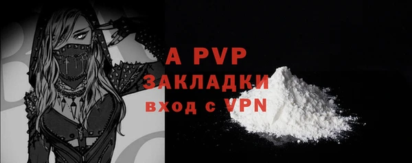 a pvp Белокуриха
