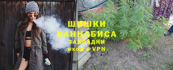 сатива Богородицк