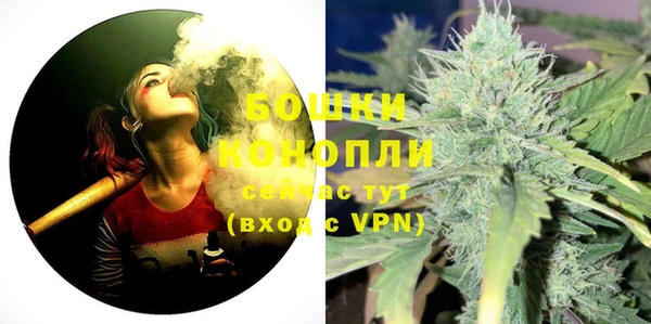 сатива Богородицк
