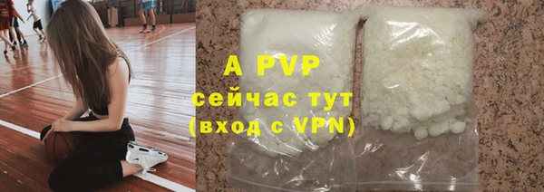 сатива Белоозёрский
